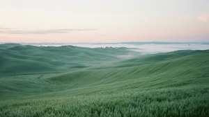 Sage Green Hills