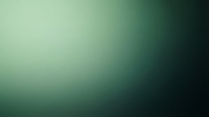 Sage Ombre Fade