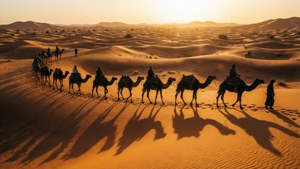 Sahara Camel Caravan