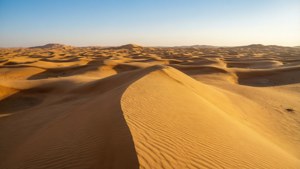 Sahara Golden Dunes