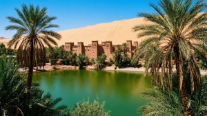 Sahara Oasis Ksar