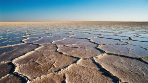 Sahara Salt Flats