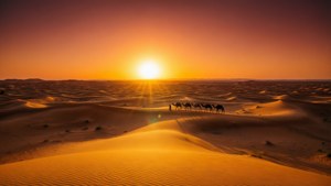 Sahara Sunset Caravan