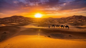 Sahara Sunset Caravan