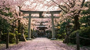 Sakura Garden Path