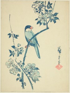 Sakura ni Buncho