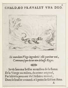 Salamander in het vuur