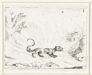 Salamander in het vuur