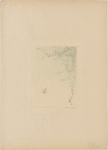 Salamander (La Salamandre)