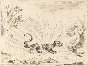Salamander Surrounded by Flames