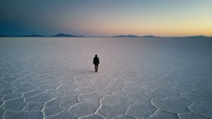 Salt Flat Wanderer