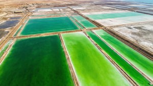 Salt Ponds from Above