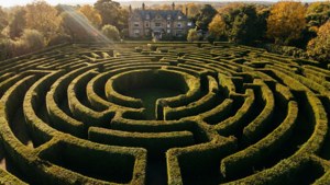 Saltburn Hedge Maze