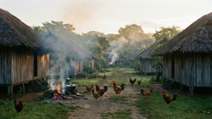 Samoa Village Dawn