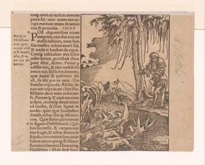 Samson jaagt de vossen met brandende fakkels aan hun staarten in de velden van de Filistijnen