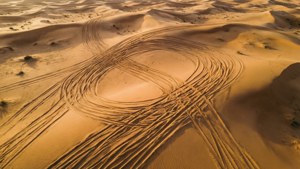 Sand Dune Serpentine Tracks