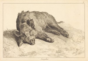 Sanglier (Wild Boar Lying Down, Head to the Left)