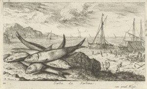 Sardines op het strand