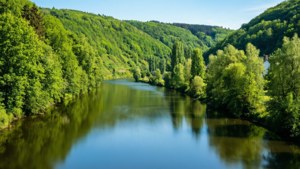 Sauer River Serenity