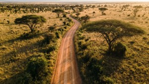 Savanna Road from Above