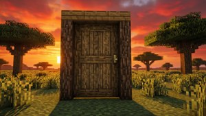Savanna Sunset Door