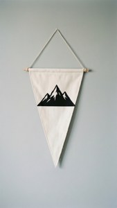 Scandi Mountain Pennant