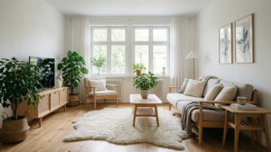 Scandinavian Living Room