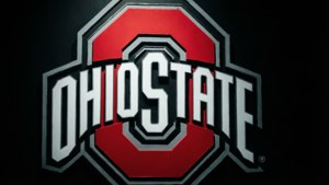 Scarlet and Gray Close-Up