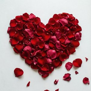 Scattered Rose Petal Heart