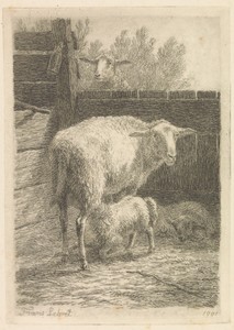 Schaap zoogt lam in een stal