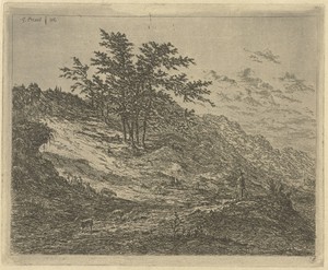 Schaapsherder in heuvelachtig heidelandschap