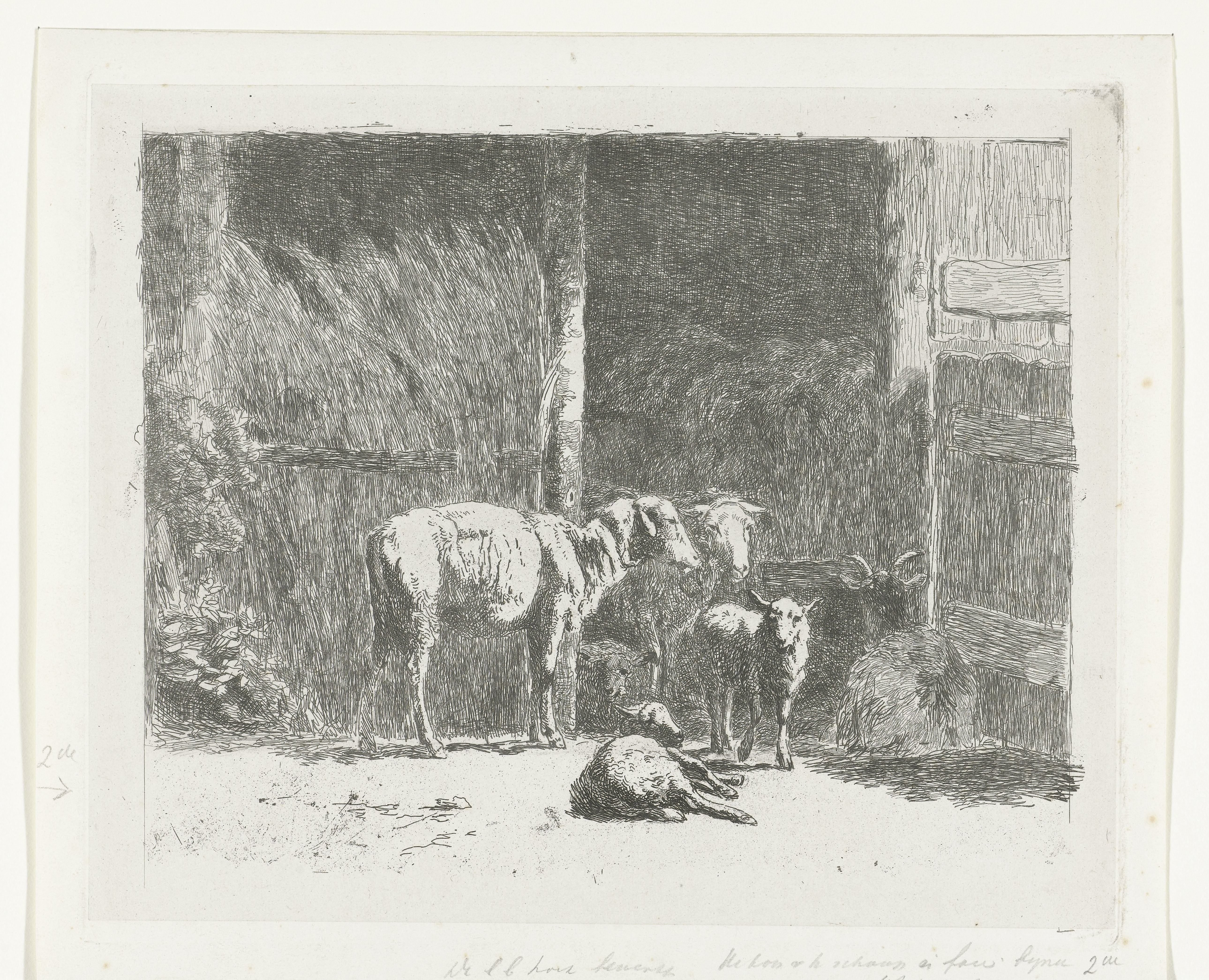 Schapen en lammeren en liggende bok bij stal by Simon van den Berg