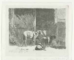 Schapen en lammeren en liggende bok bij stal