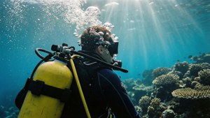 Scuba Diver Reef Adventure