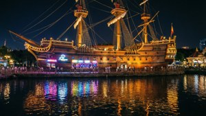 Sea World Night Lights