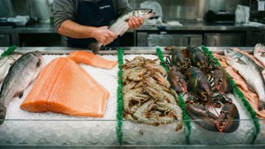 Seafood Display
