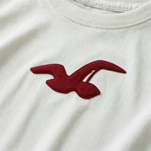 Seagull Logo Close-up