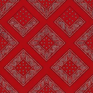 Seamless Bandana Paisley