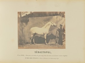 Sébastopol