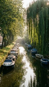 Secret Canals