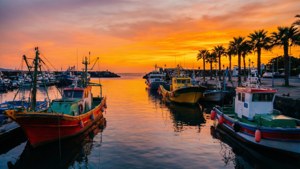 Seogwipo Sunset Harbor