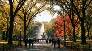 September City Park