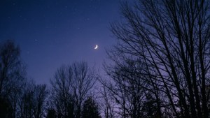 September Night Sky