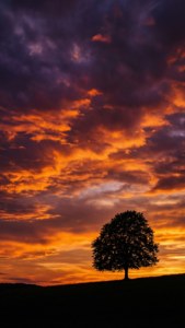 September Sky Drama