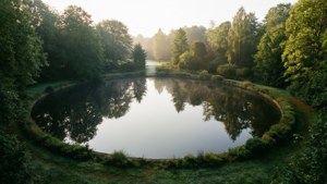 Serene Pond Loop