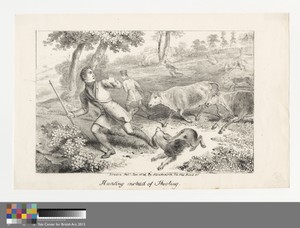 [set of 16]: 13. Hunting Instead of Shooting