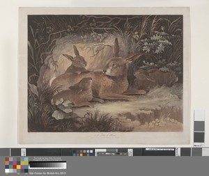 Set of four: (3) A Litter of Hares