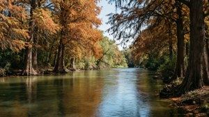 Sewell Park Serenity