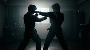 Shadow Boxing Silhouette