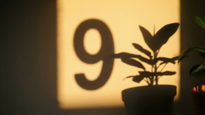 Shadow Nine